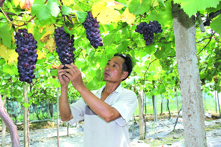潘宅潘瑞.JPG